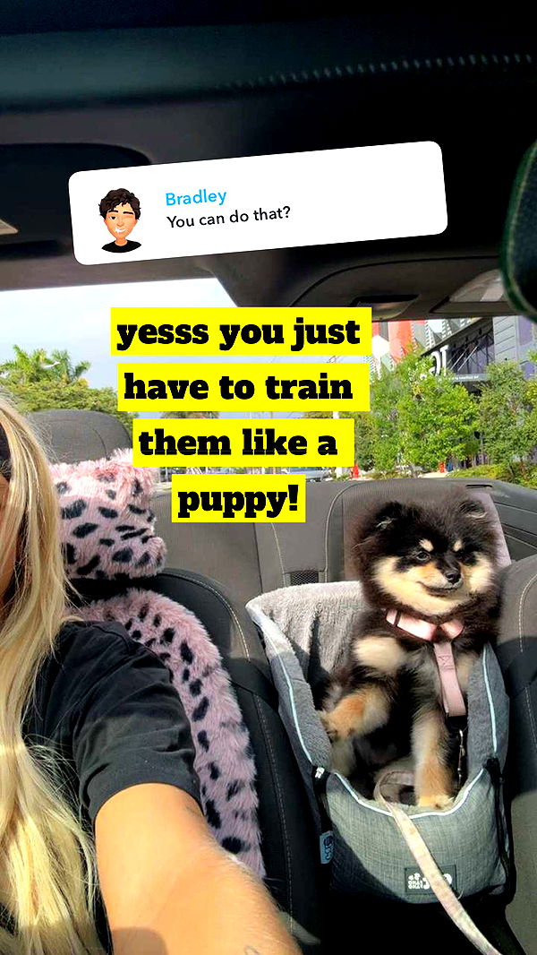 kaygcarlson image ~ Altpins