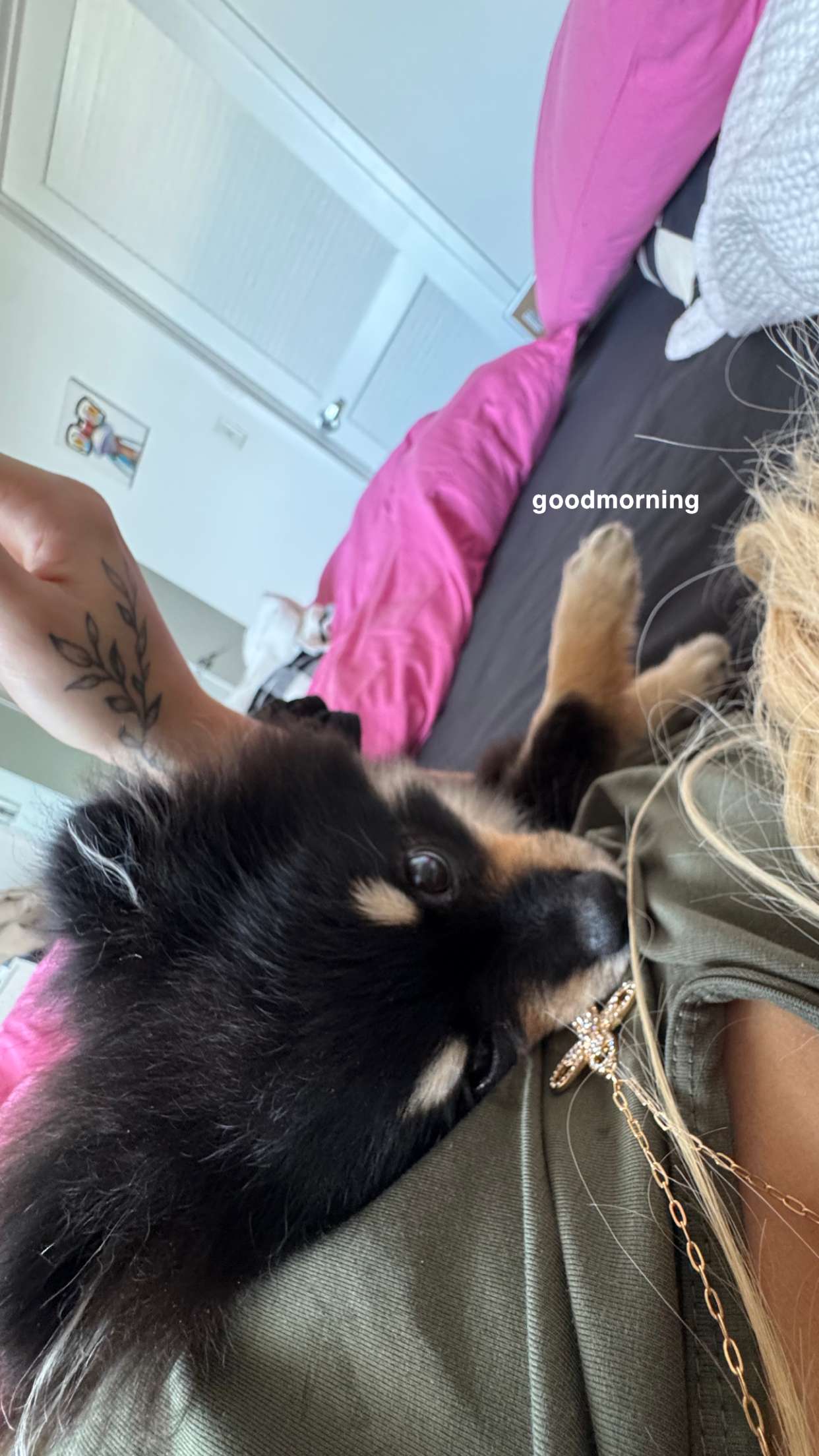 kaygcarlson snapchat image archive image