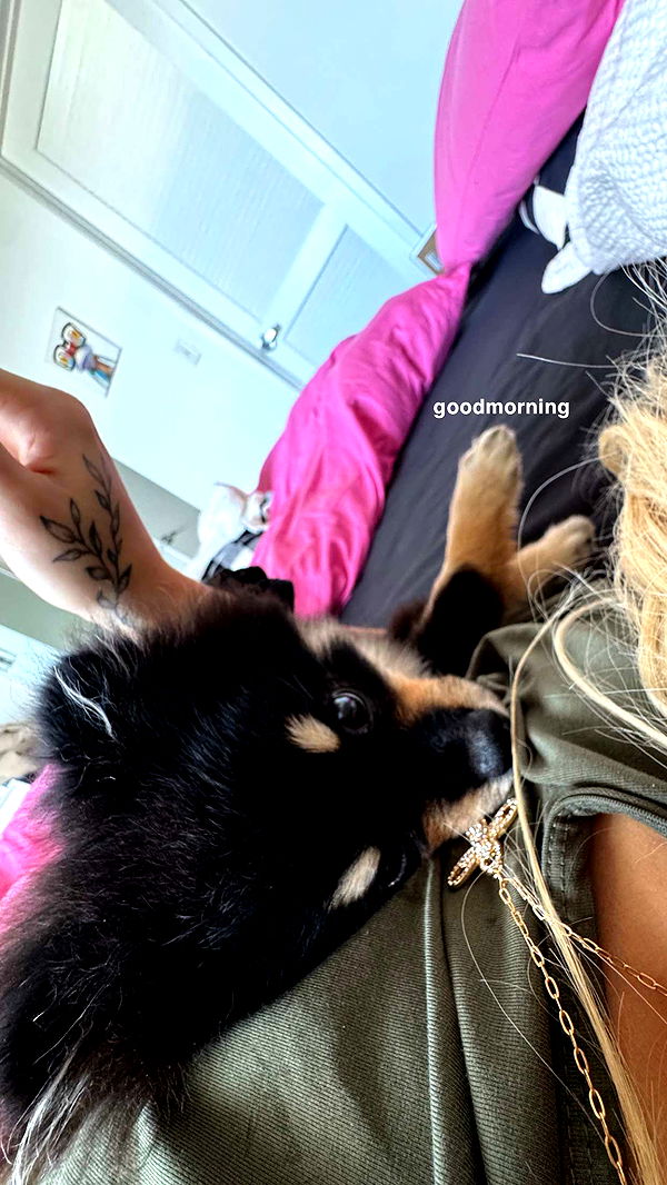 kaygcarlson image ~ Altpins