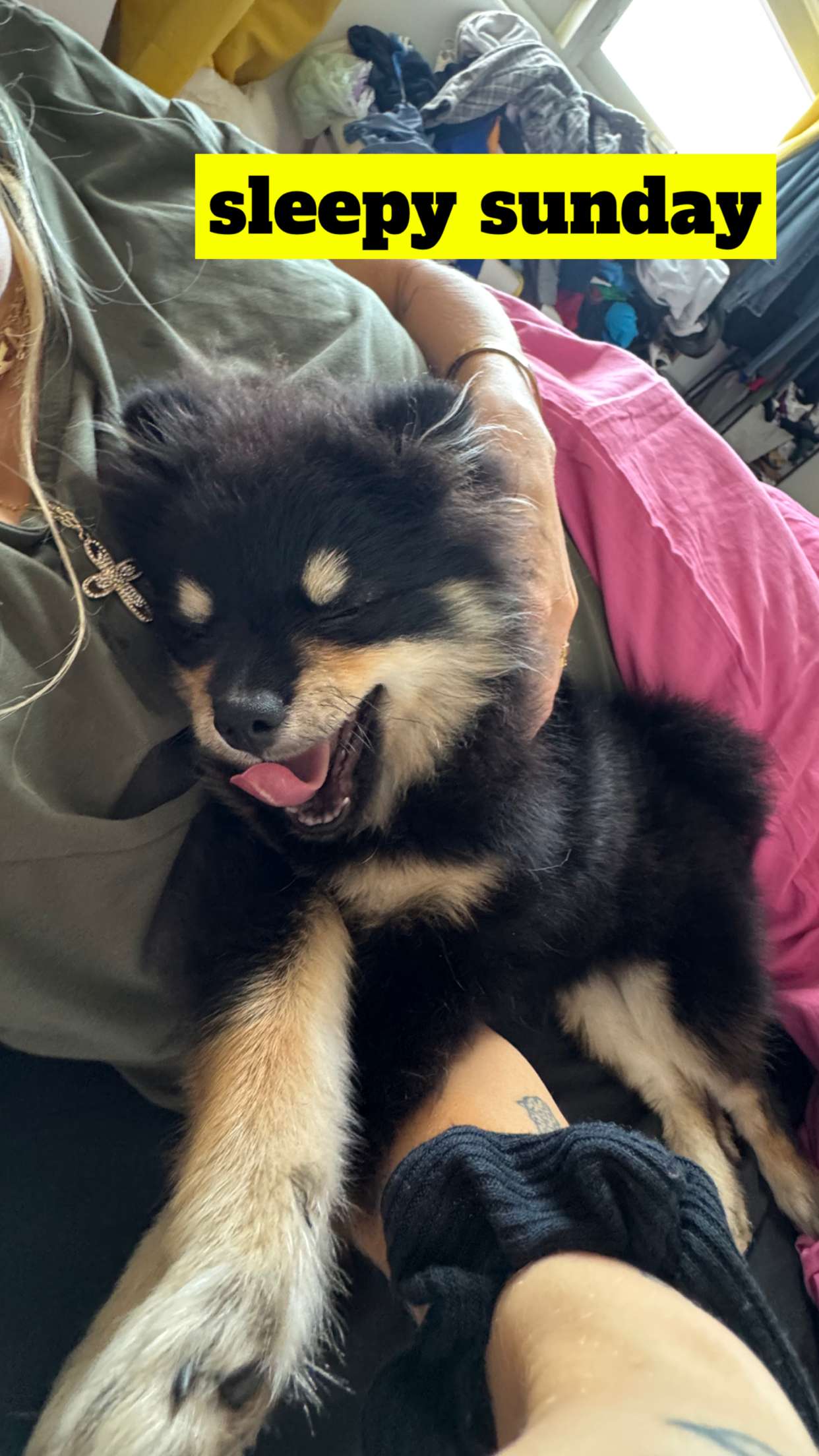 kaygcarlson snapchat image archive image