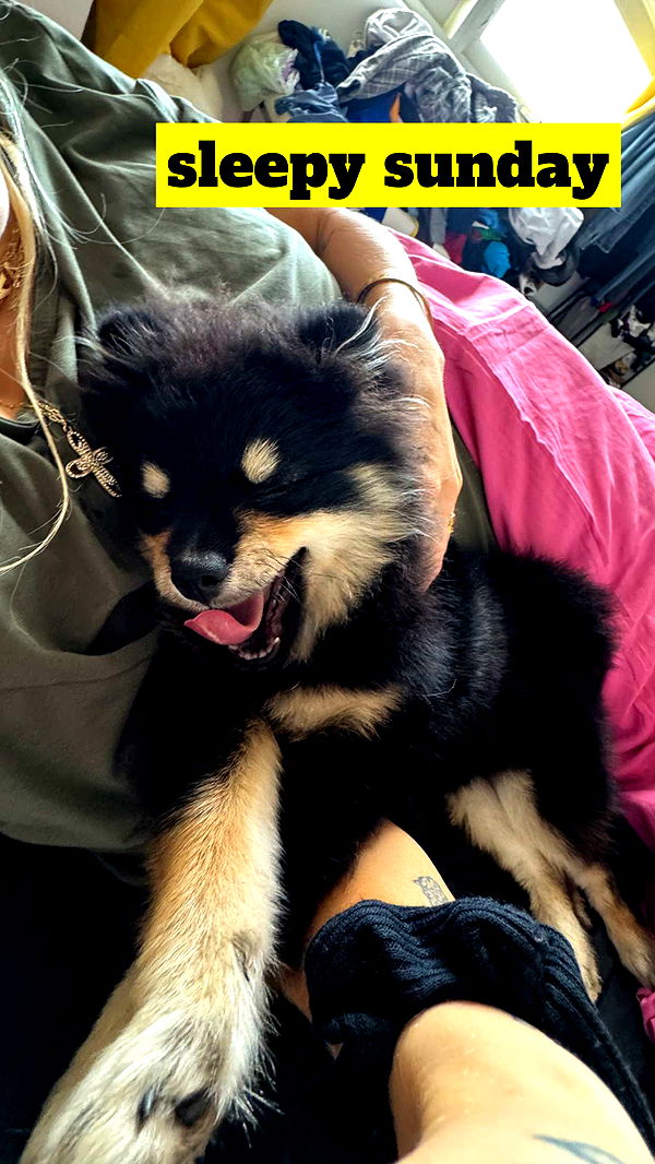 kaygcarlson image ~ Altpins