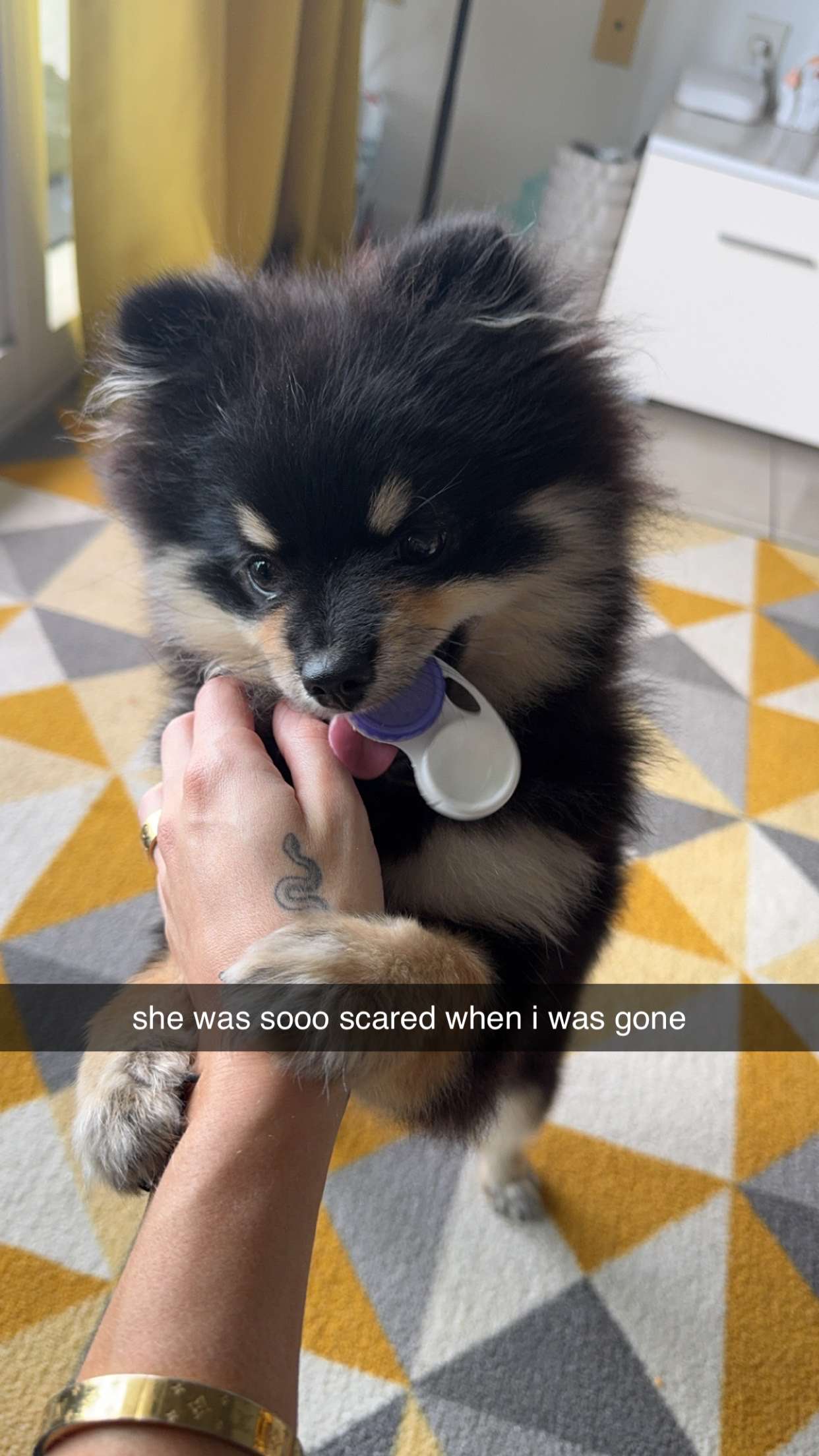 kaygcarlson snapchat image archive image