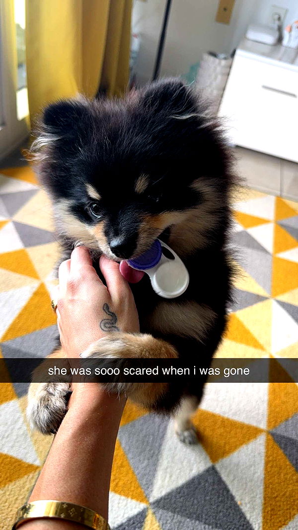 kaygcarlson image ~ Altpins