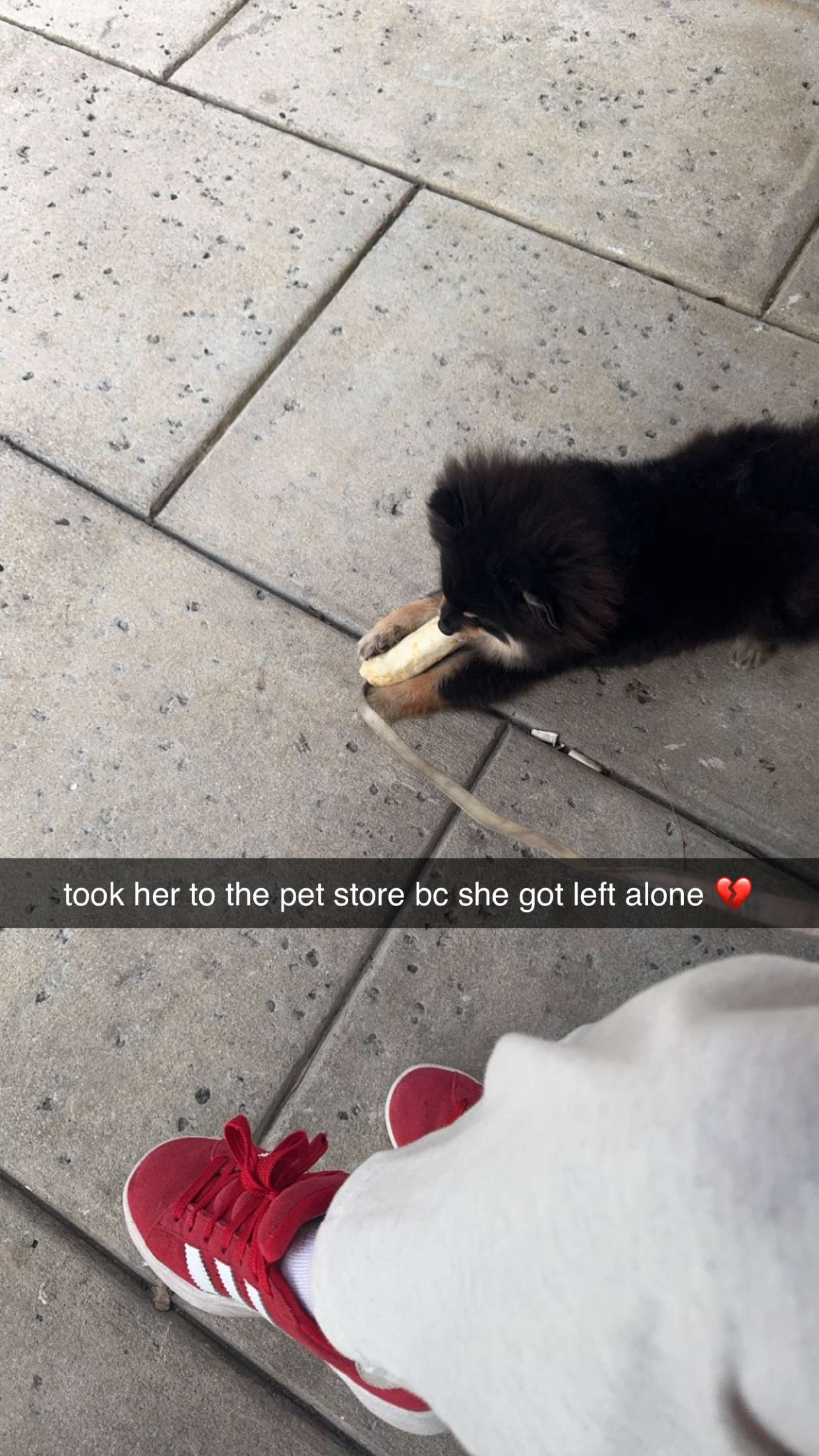 kaygcarlson snapchat image archive image