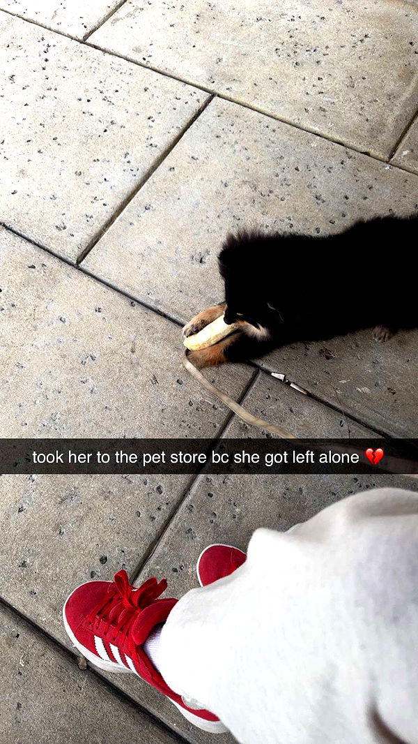 kaygcarlson image ~ Altpins