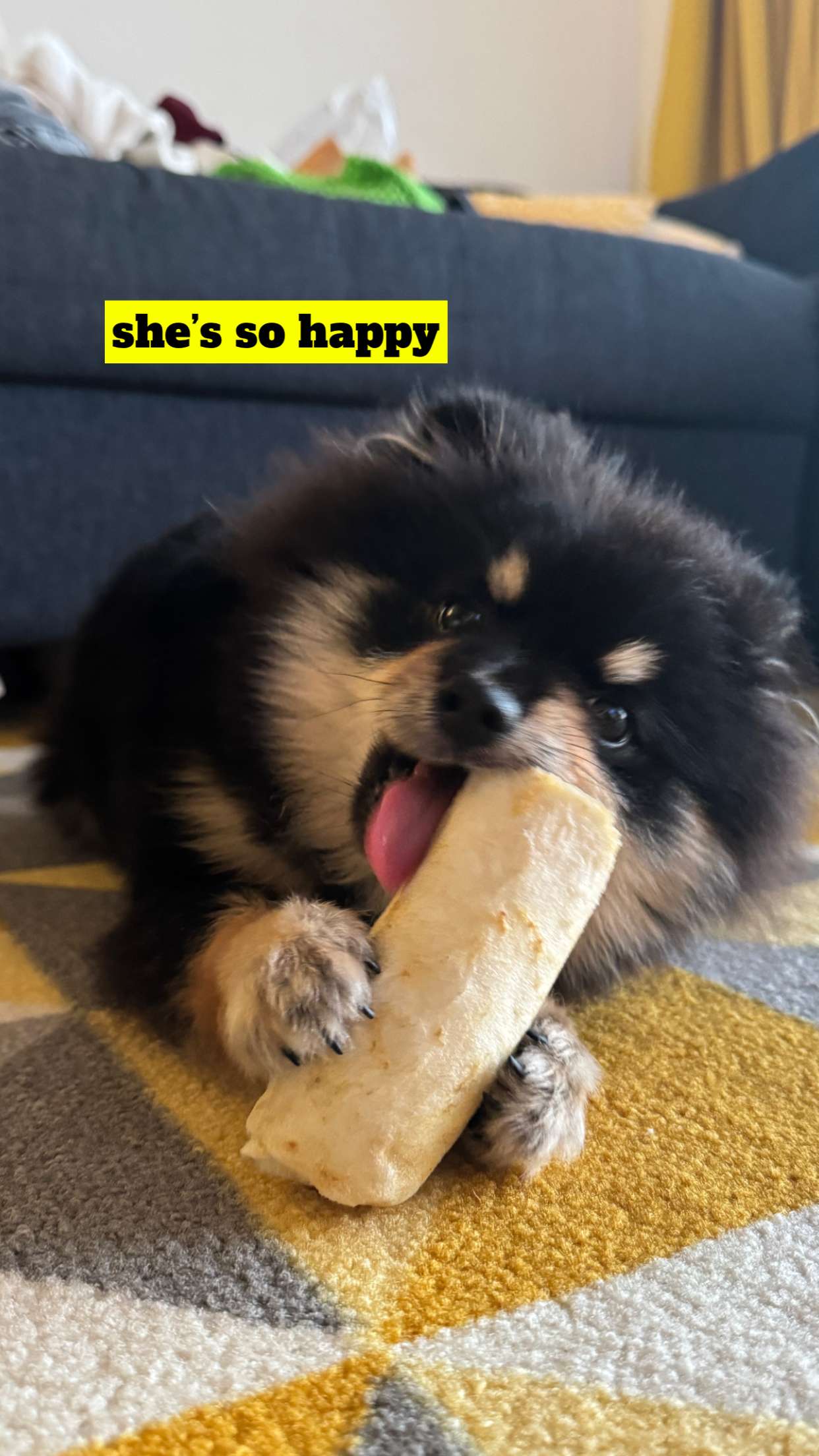 kaygcarlson snapchat image archive image