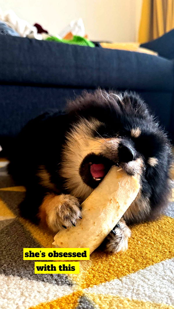 kaygcarlson image ~ Altpins