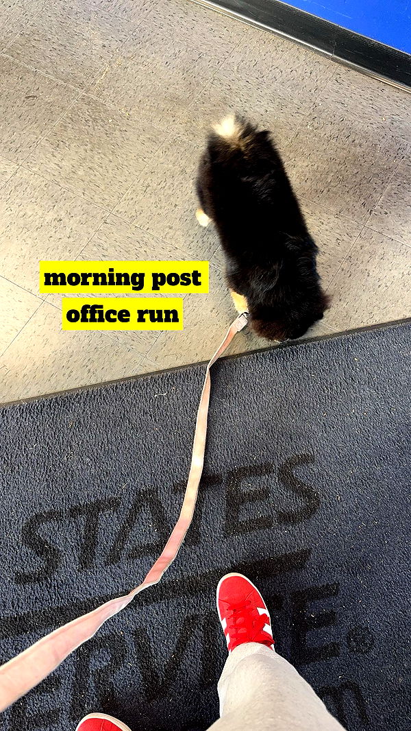 kaygcarlson image ~ Altpins