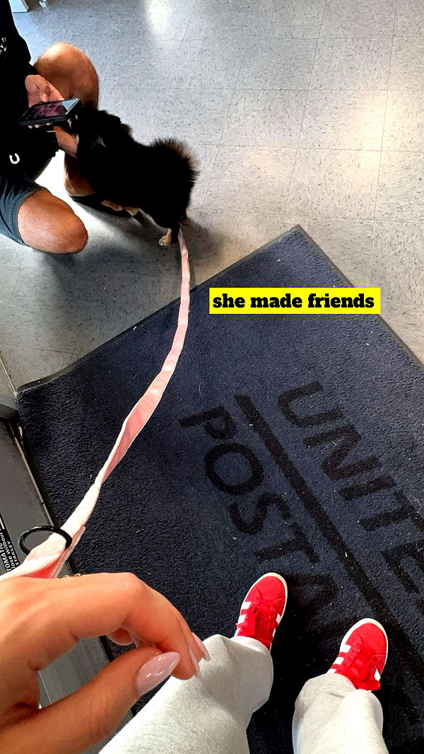 kaygcarlson image ~ Altpins