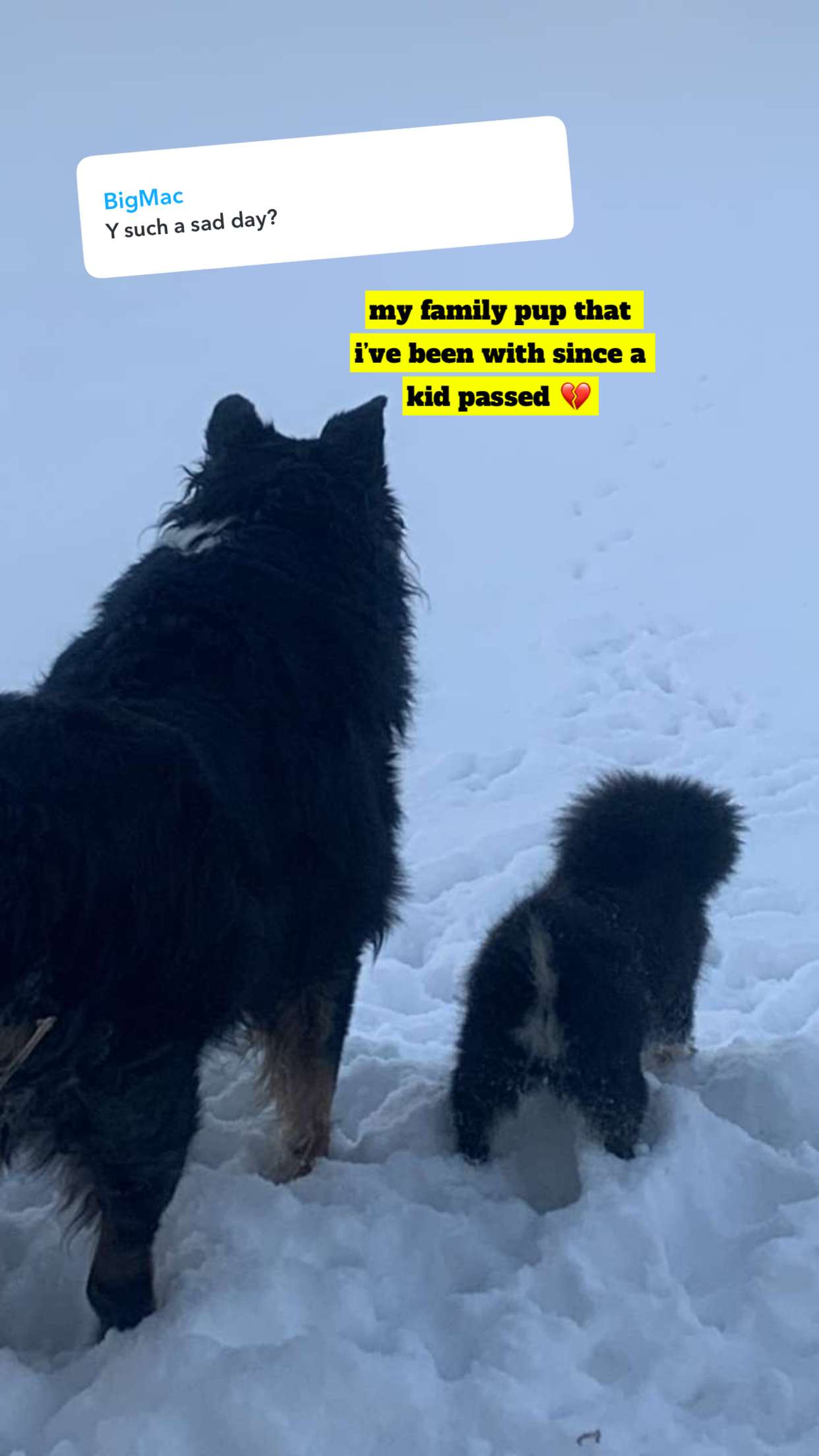 kaygcarlson snapchat image archive image