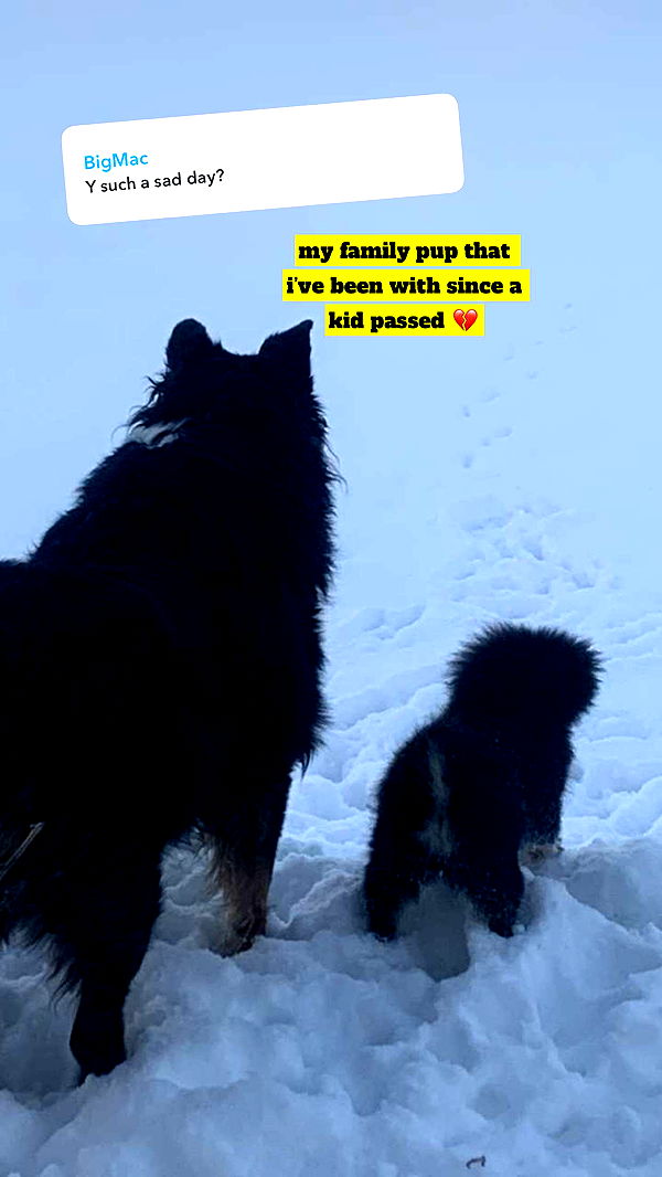 kaygcarlson image ~ Altpins