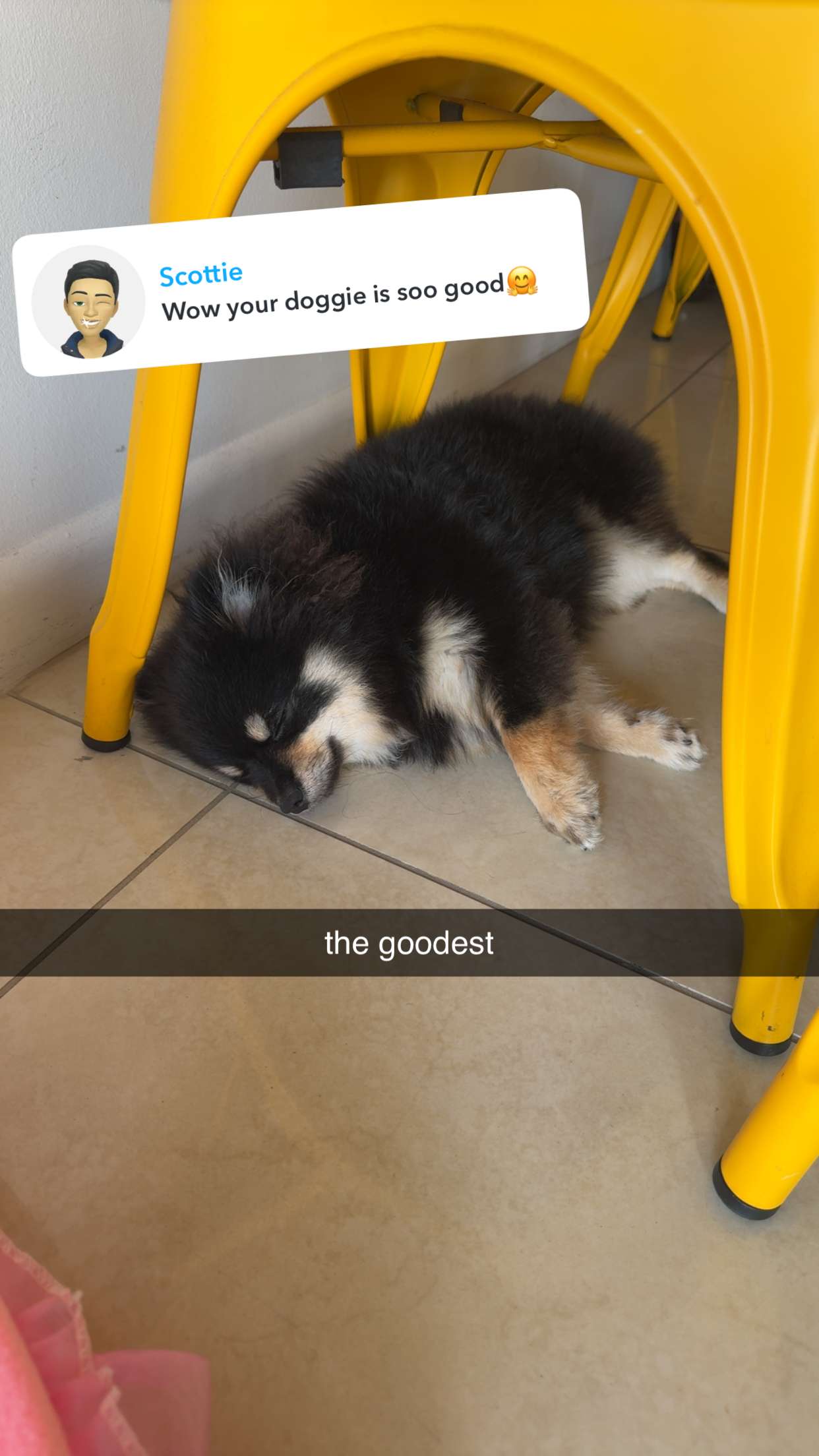 kaygcarlson snapchat image archive image