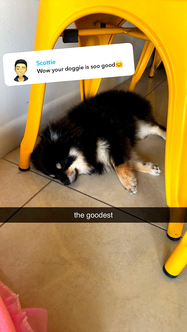 kaygcarlson image ~ Altpins