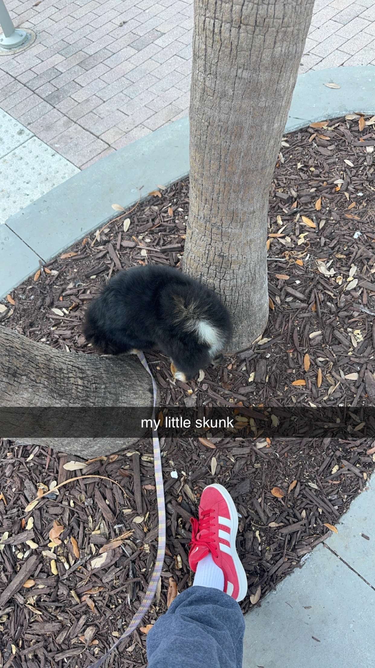 kaygcarlson snapchat image archive image