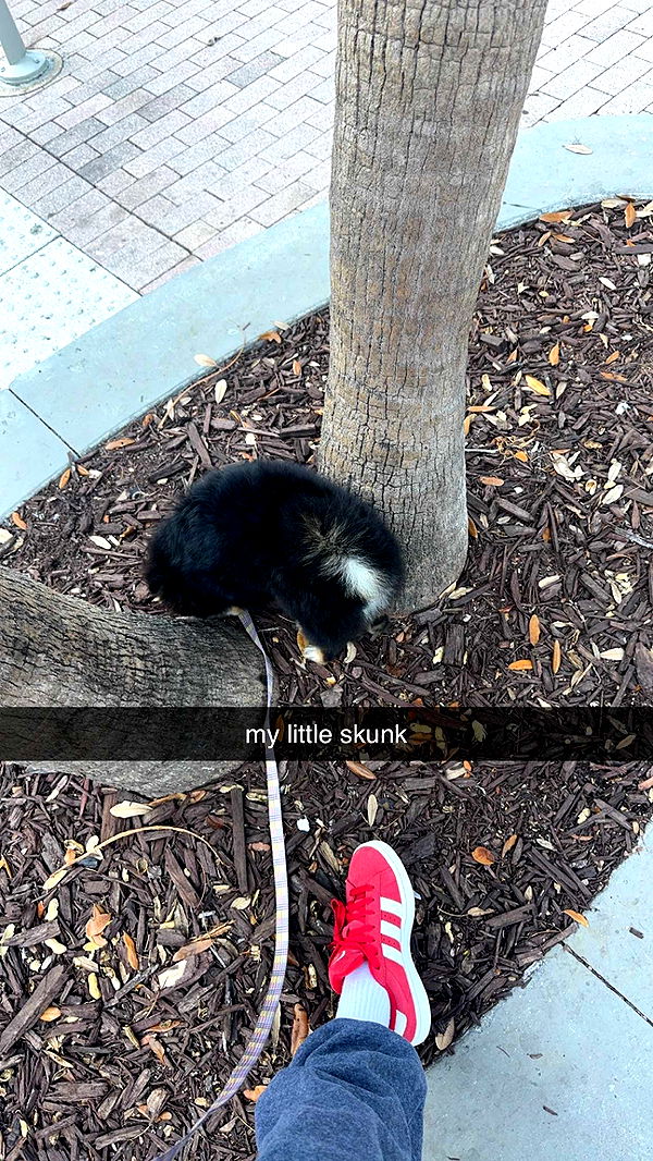 kaygcarlson image ~ Altpins