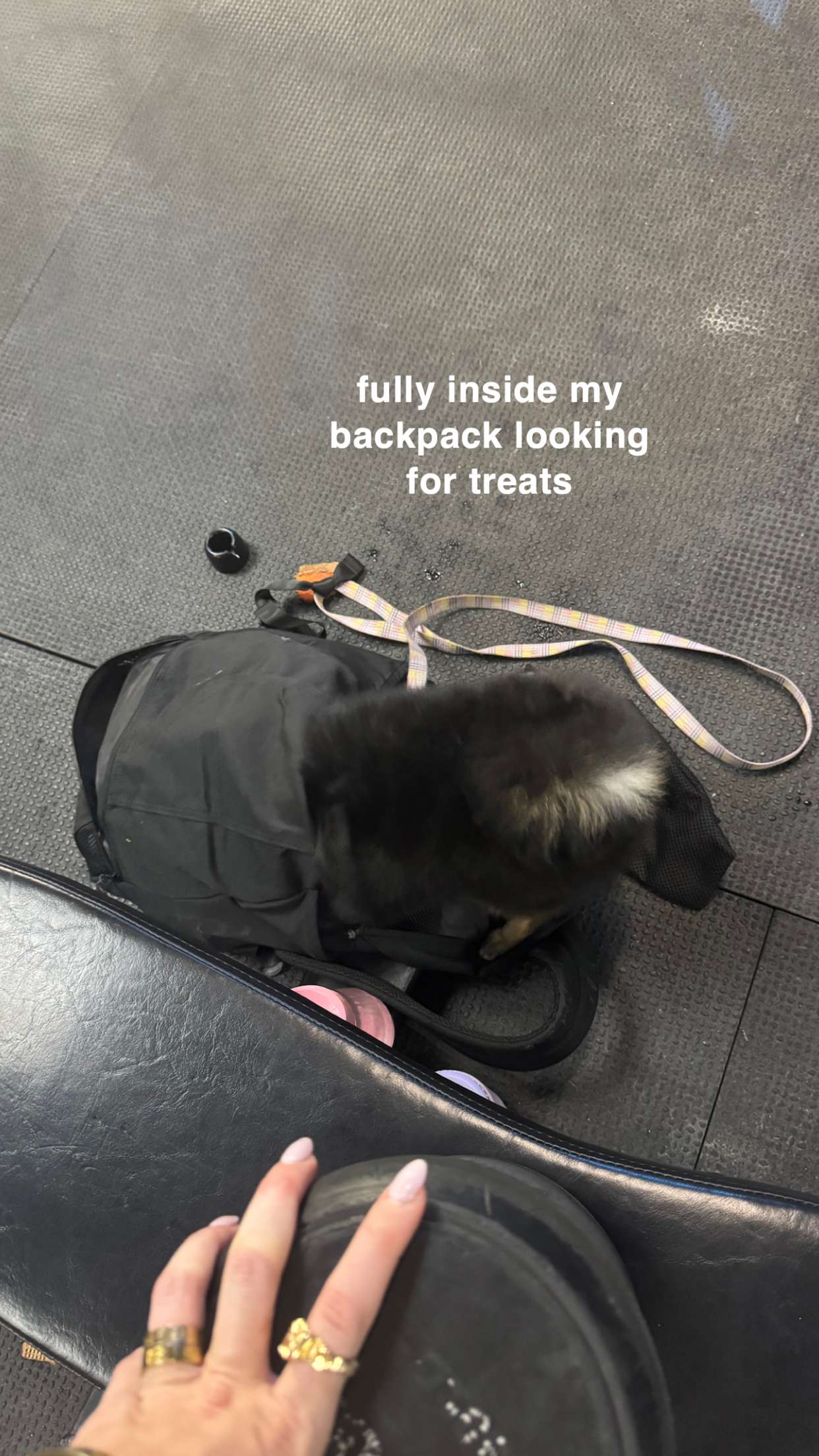 kaygcarlson snapchat image archive image