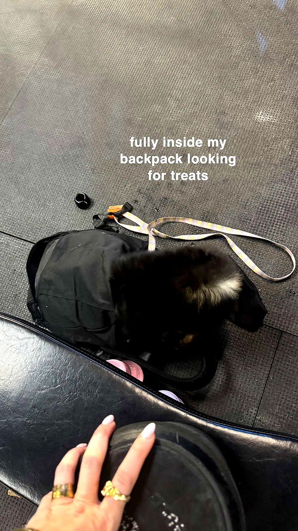 kaygcarlson image ~ Altpins