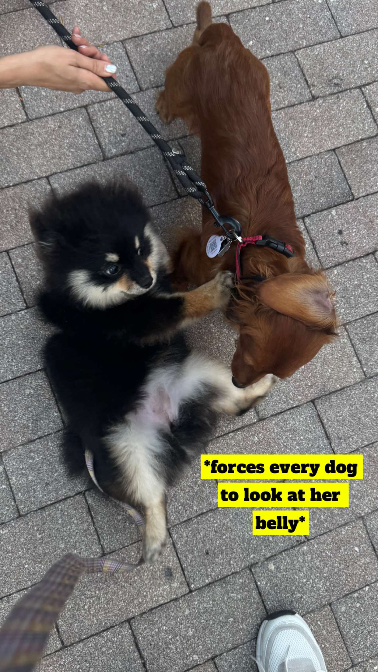 kaygcarlson snapchat image archive image