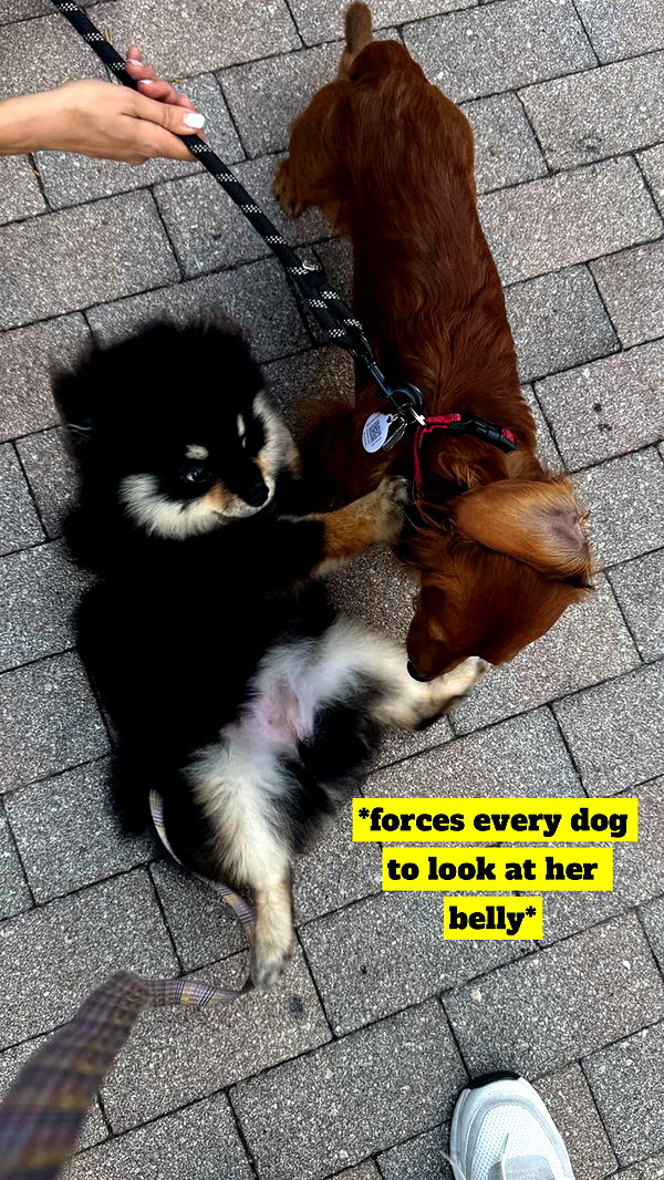 kaygcarlson image ~ Altpins