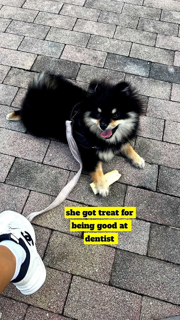 kaygcarlson image ~ Altpins