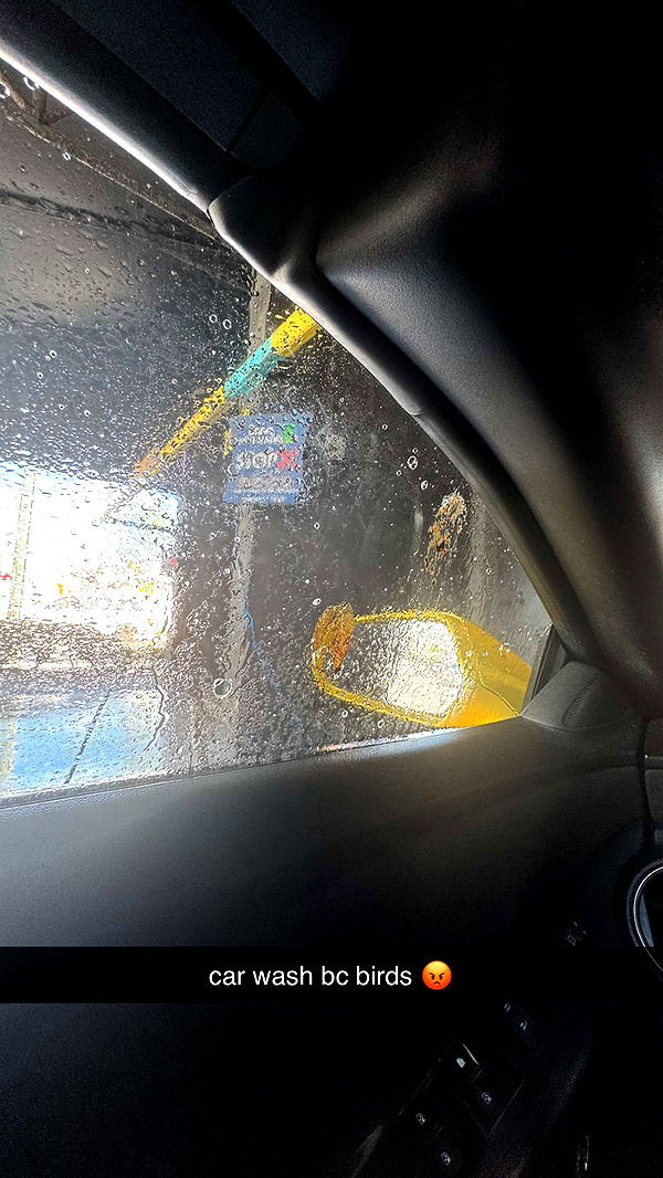 kaygcarlson image ~ Altpins