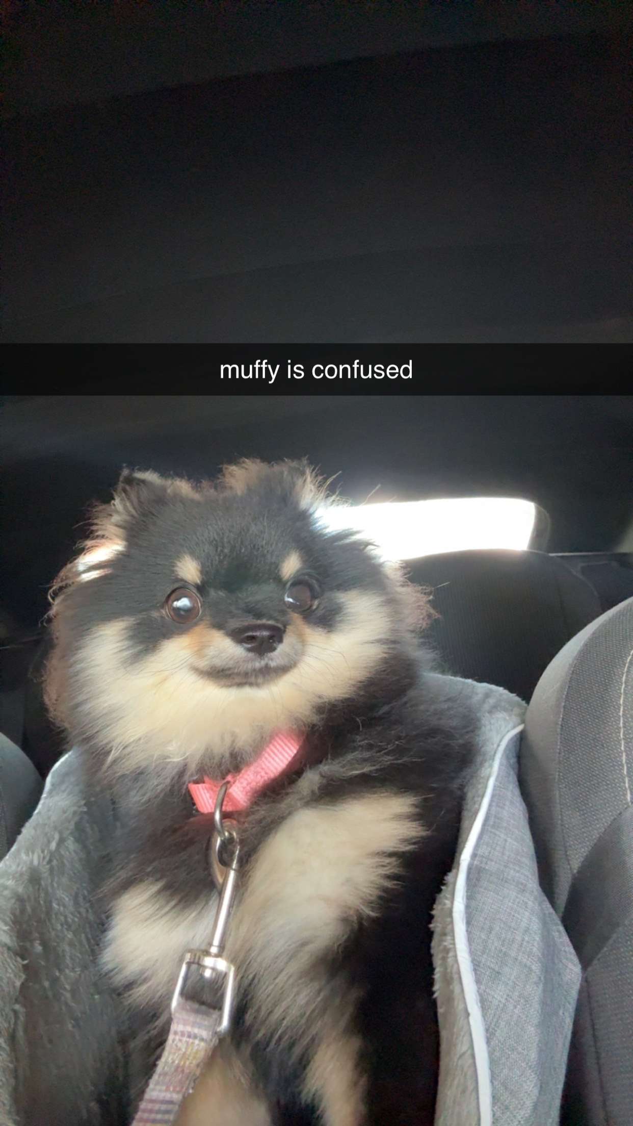 kaygcarlson snapchat image archive image