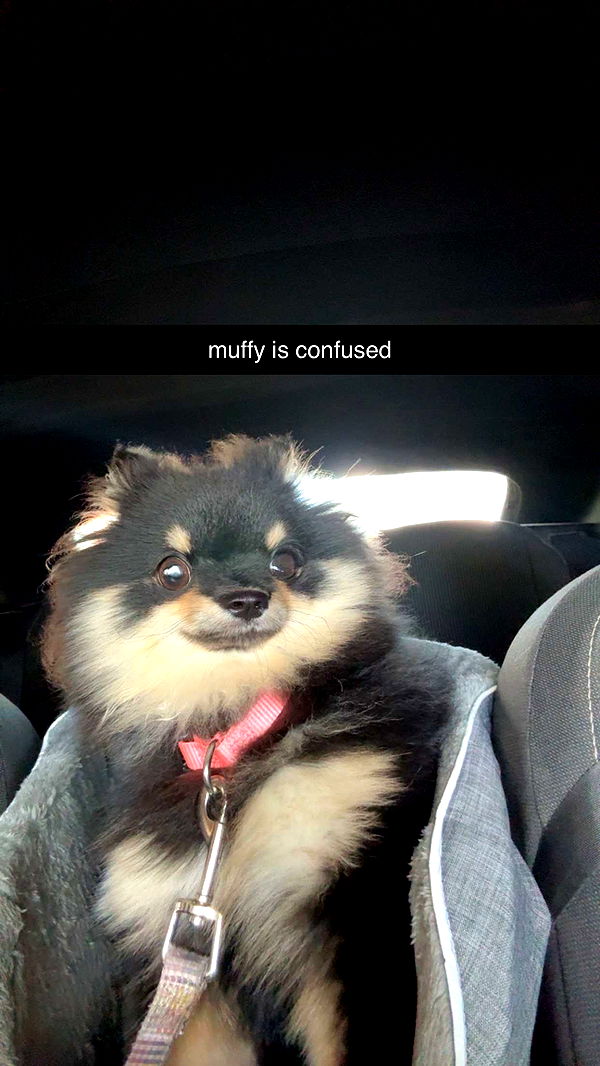 kaygcarlson image ~ Altpins