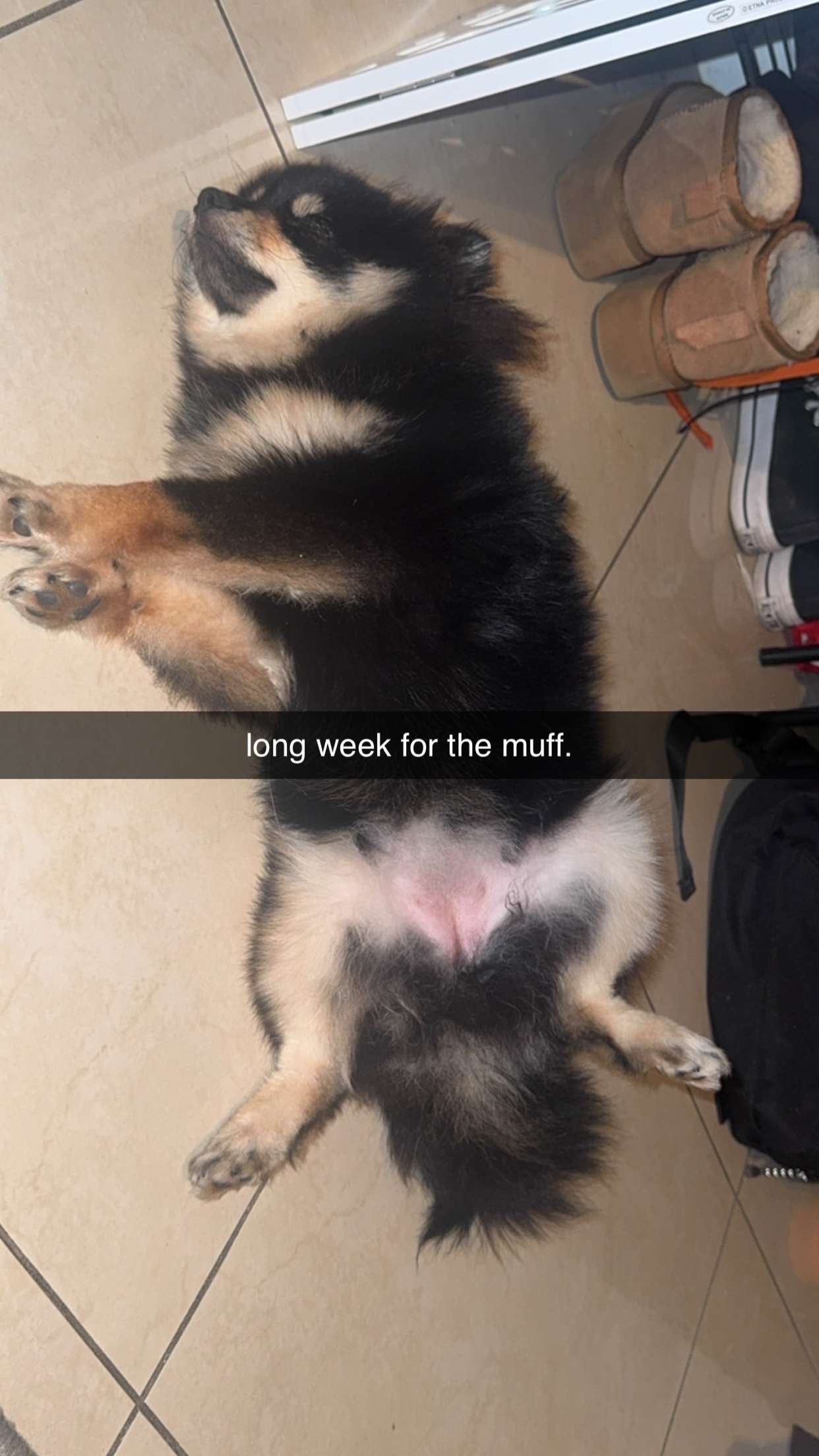 kaygcarlson snapchat image archive image