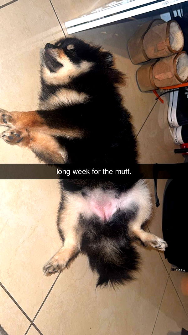 kaygcarlson image ~ Altpins