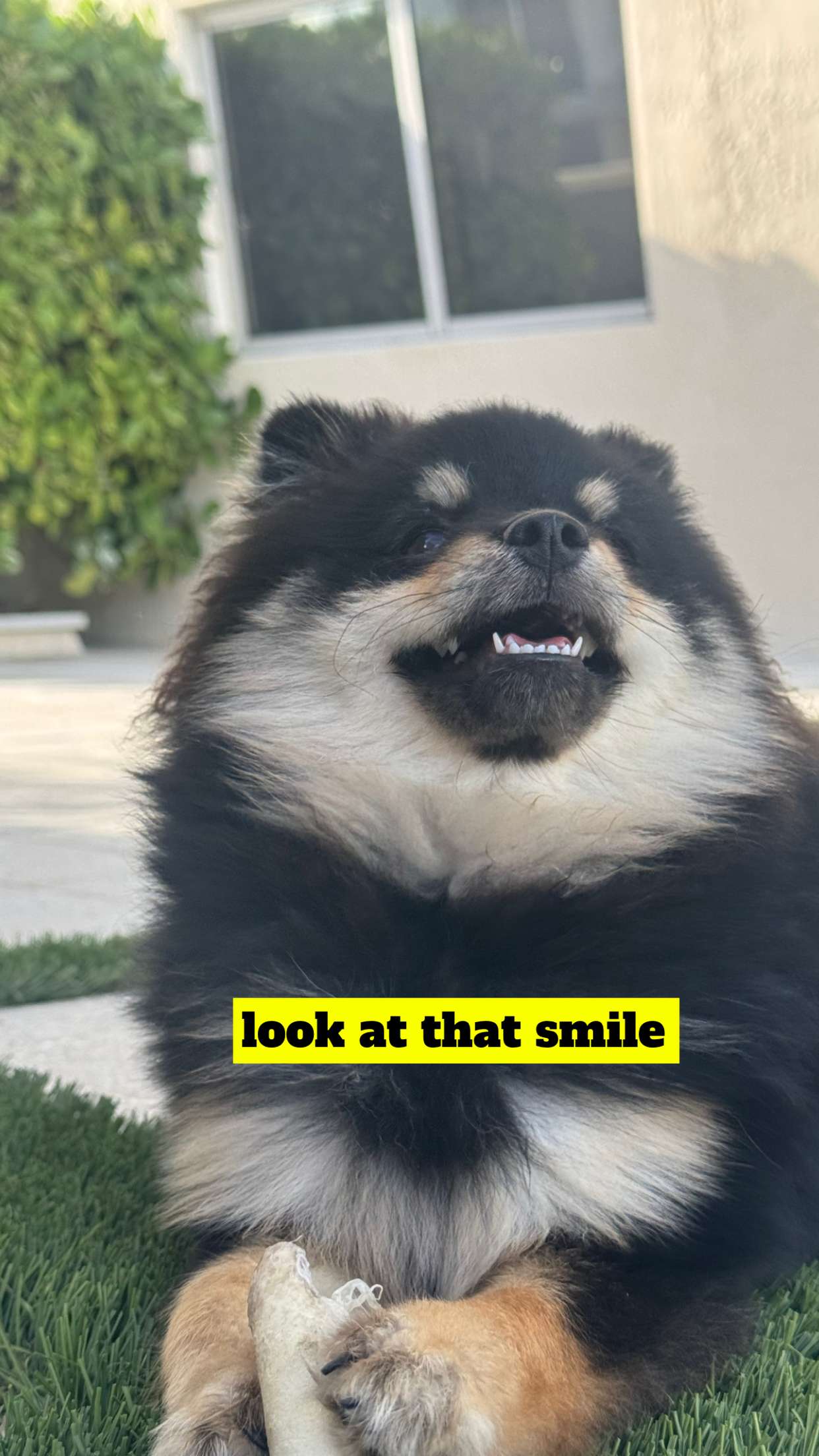 kaygcarlson snapchat image archive image