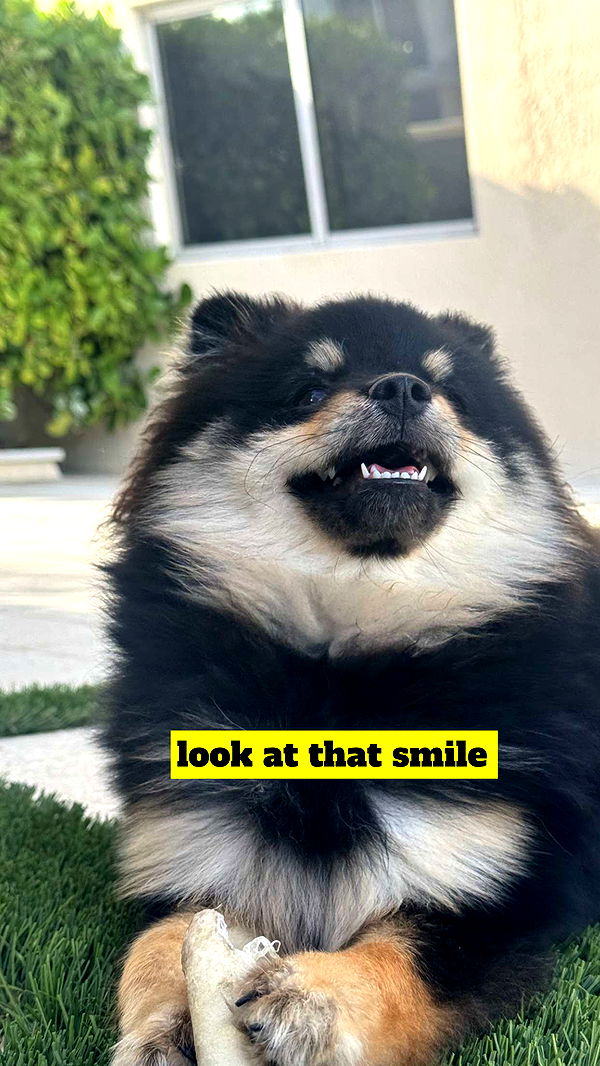 kaygcarlson image ~ Altpins