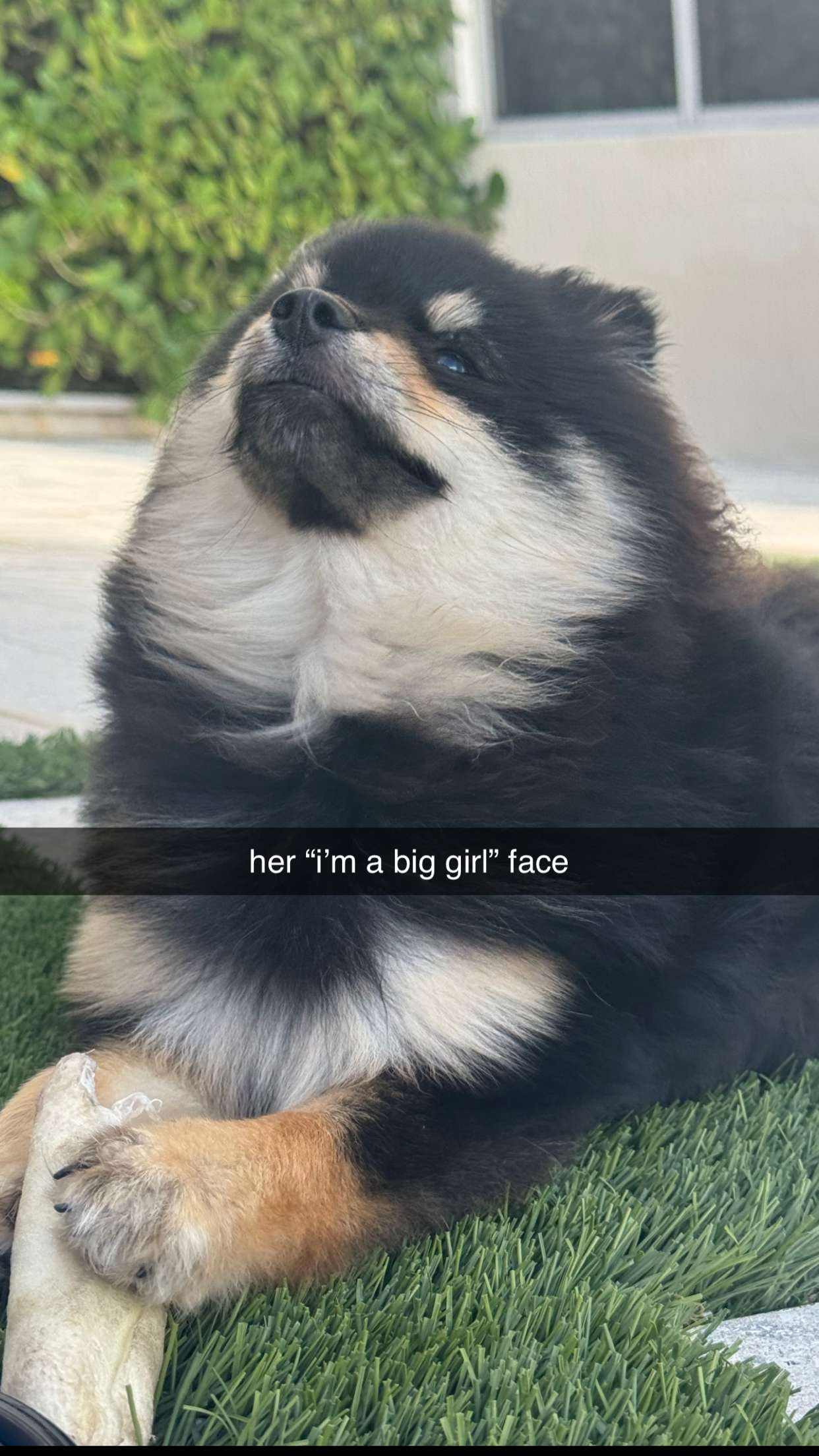 kaygcarlson snapchat image archive image