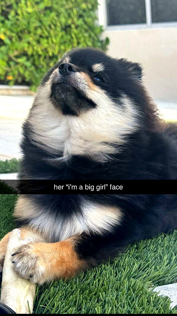 kaygcarlson image ~ Altpins