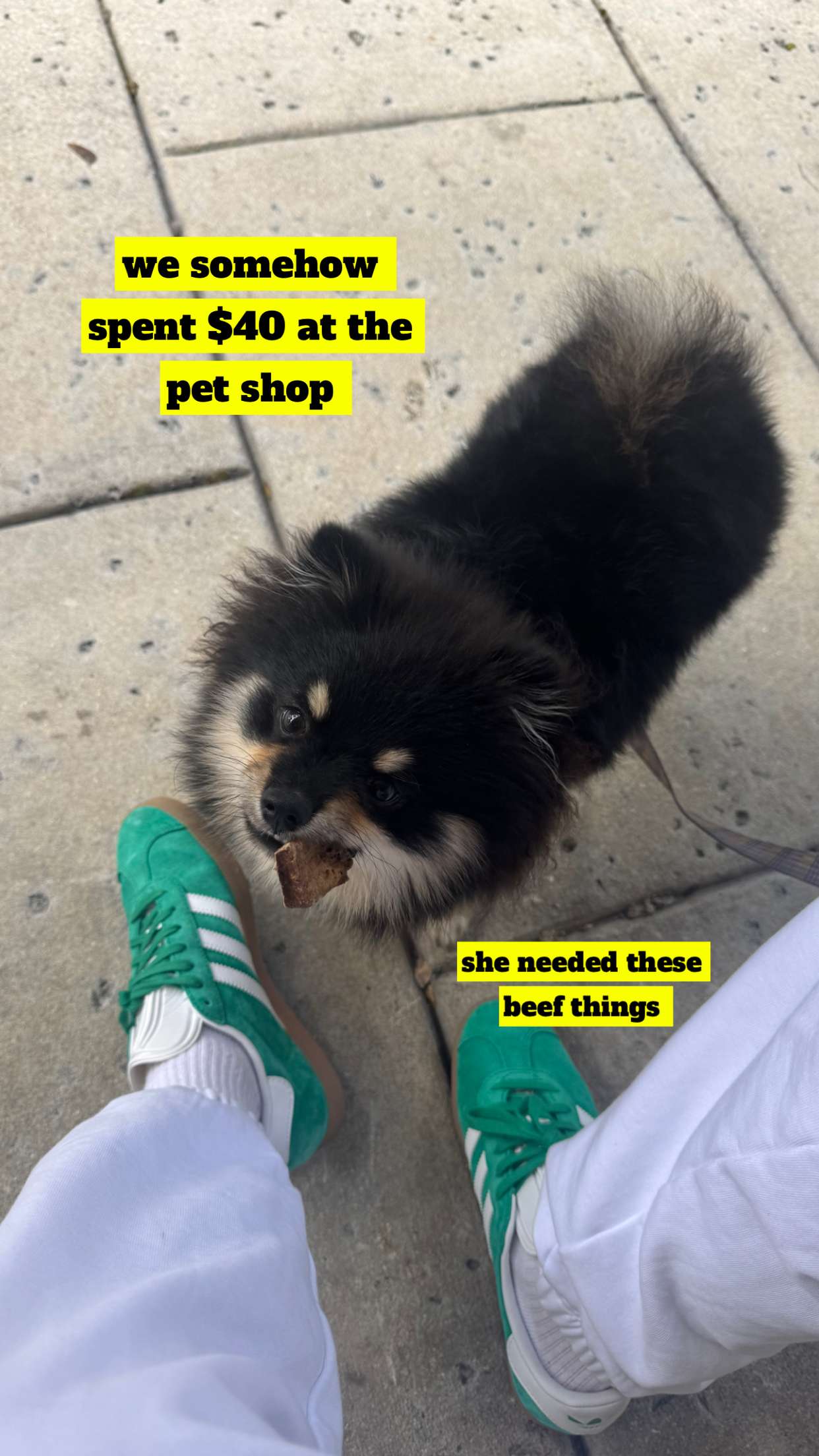 kaygcarlson snapchat image archive image