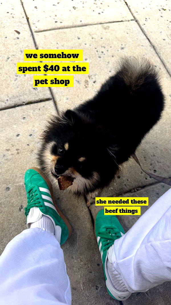 kaygcarlson image ~ Altpins