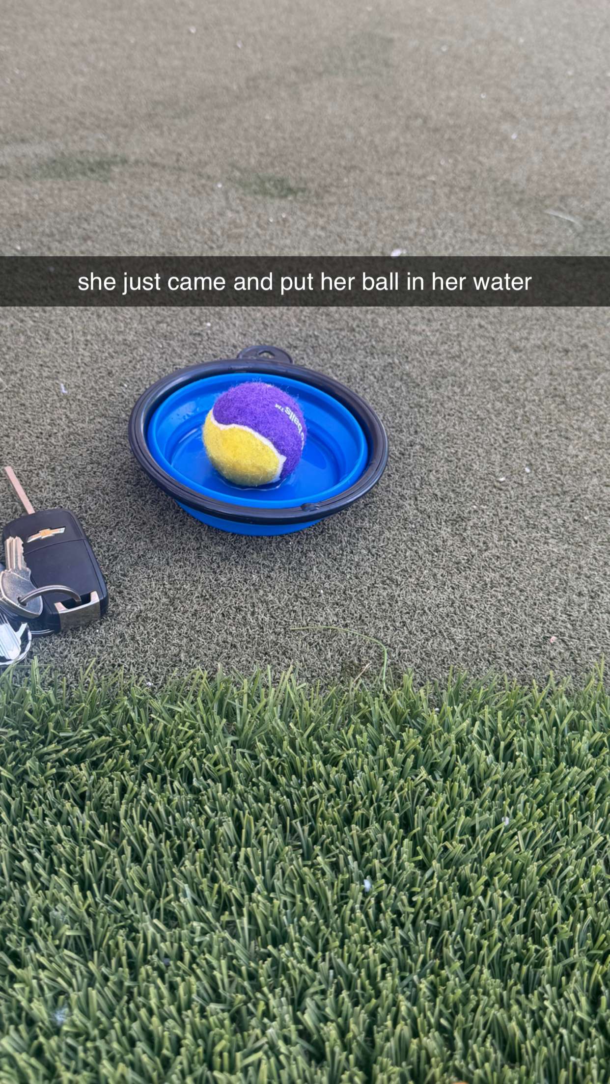 kaygcarlson snapchat image archive image