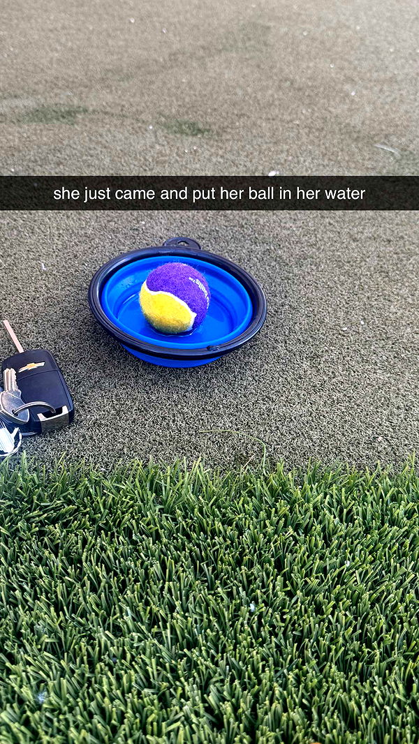 kaygcarlson image ~ Altpins