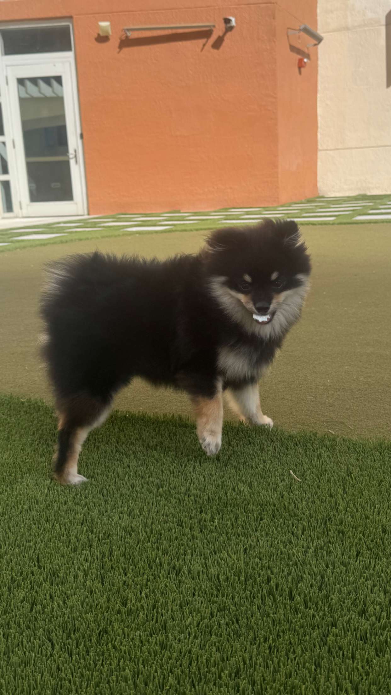 kaygcarlson snapchat image archive image