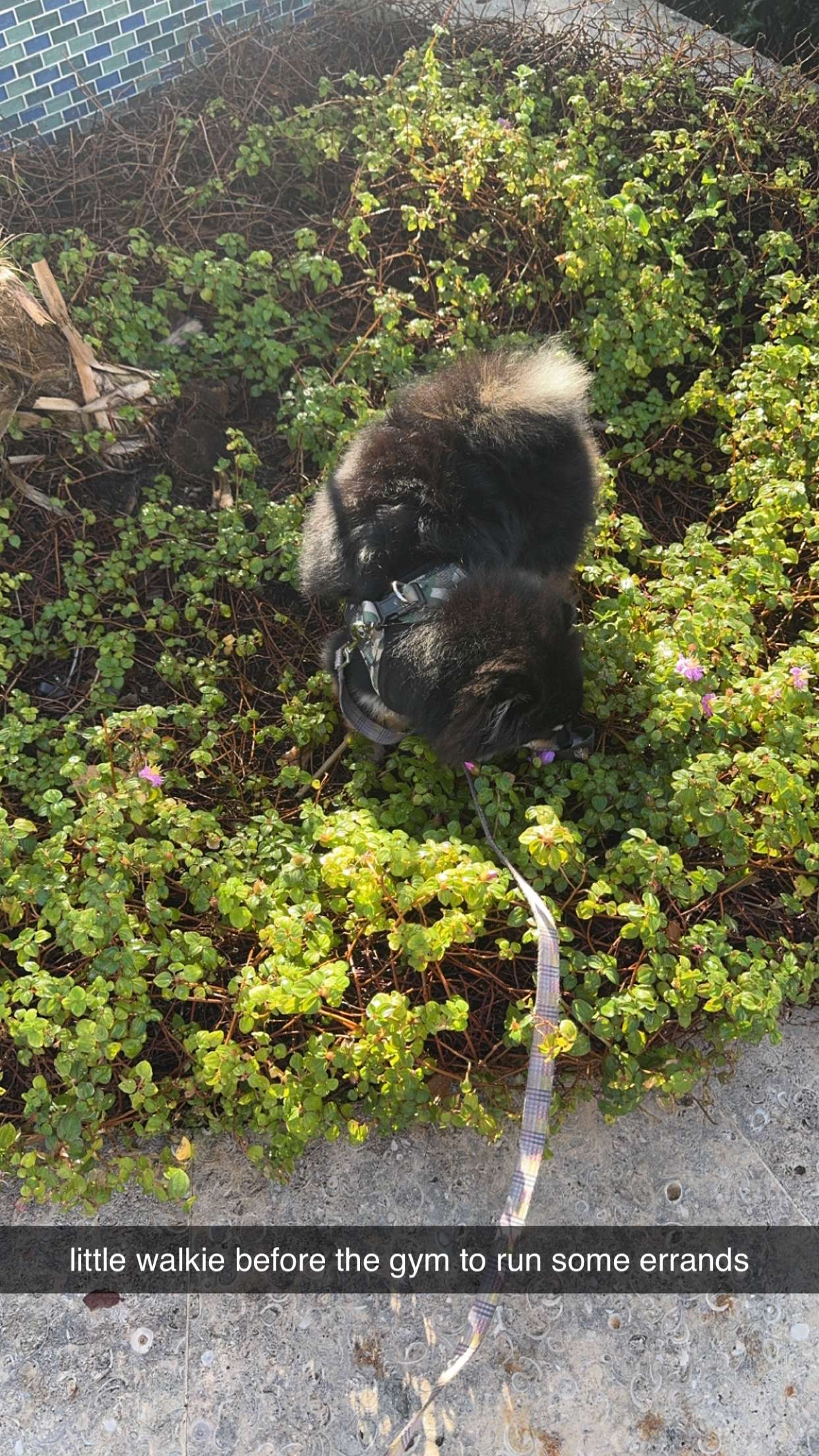 kaygcarlson snapchat image archive image