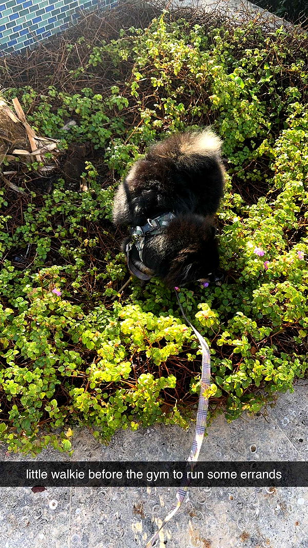 kaygcarlson image ~ Altpins