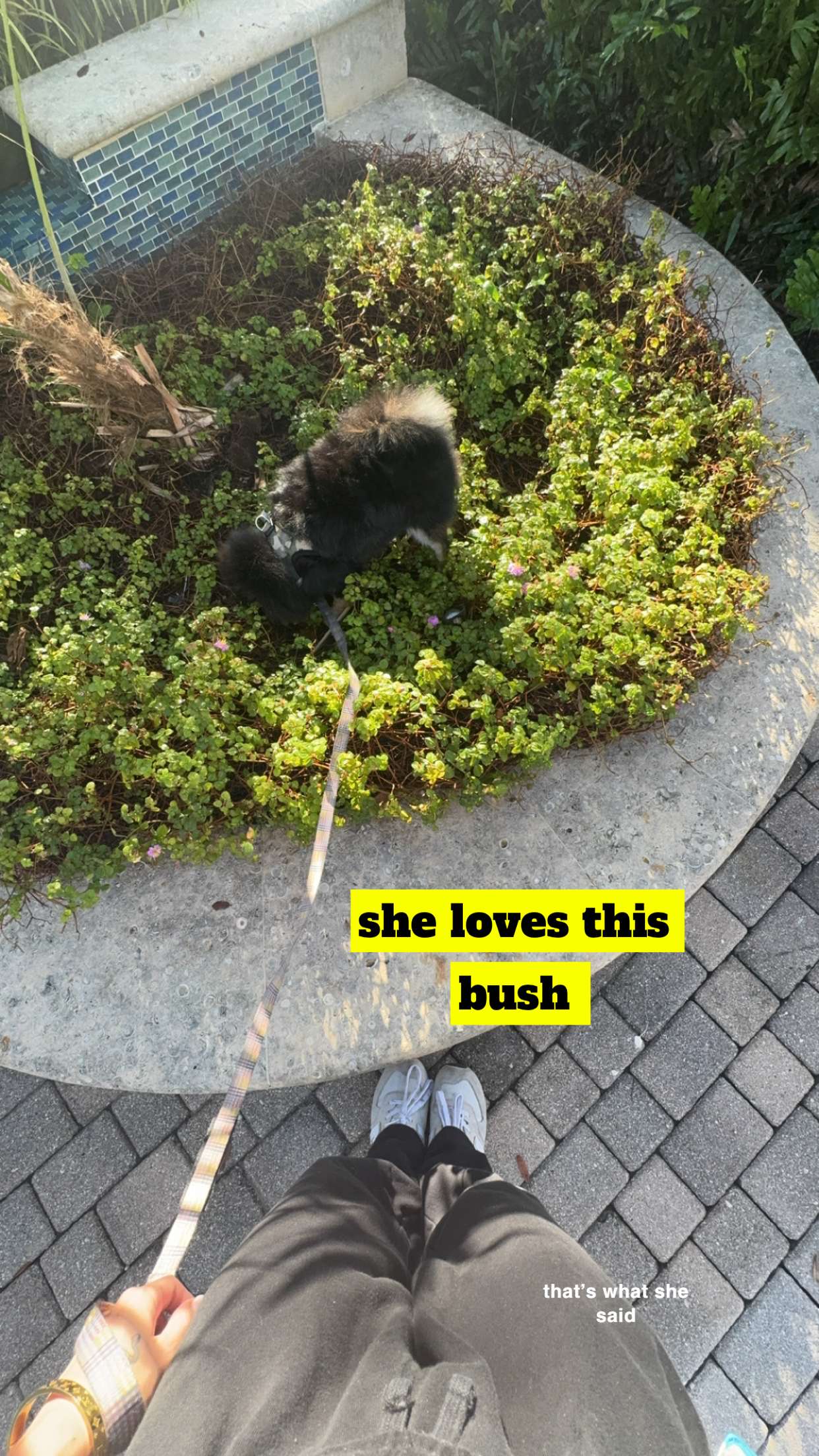 kaygcarlson snapchat image archive image