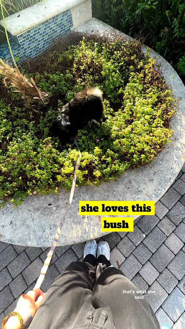 kaygcarlson image ~ Altpins