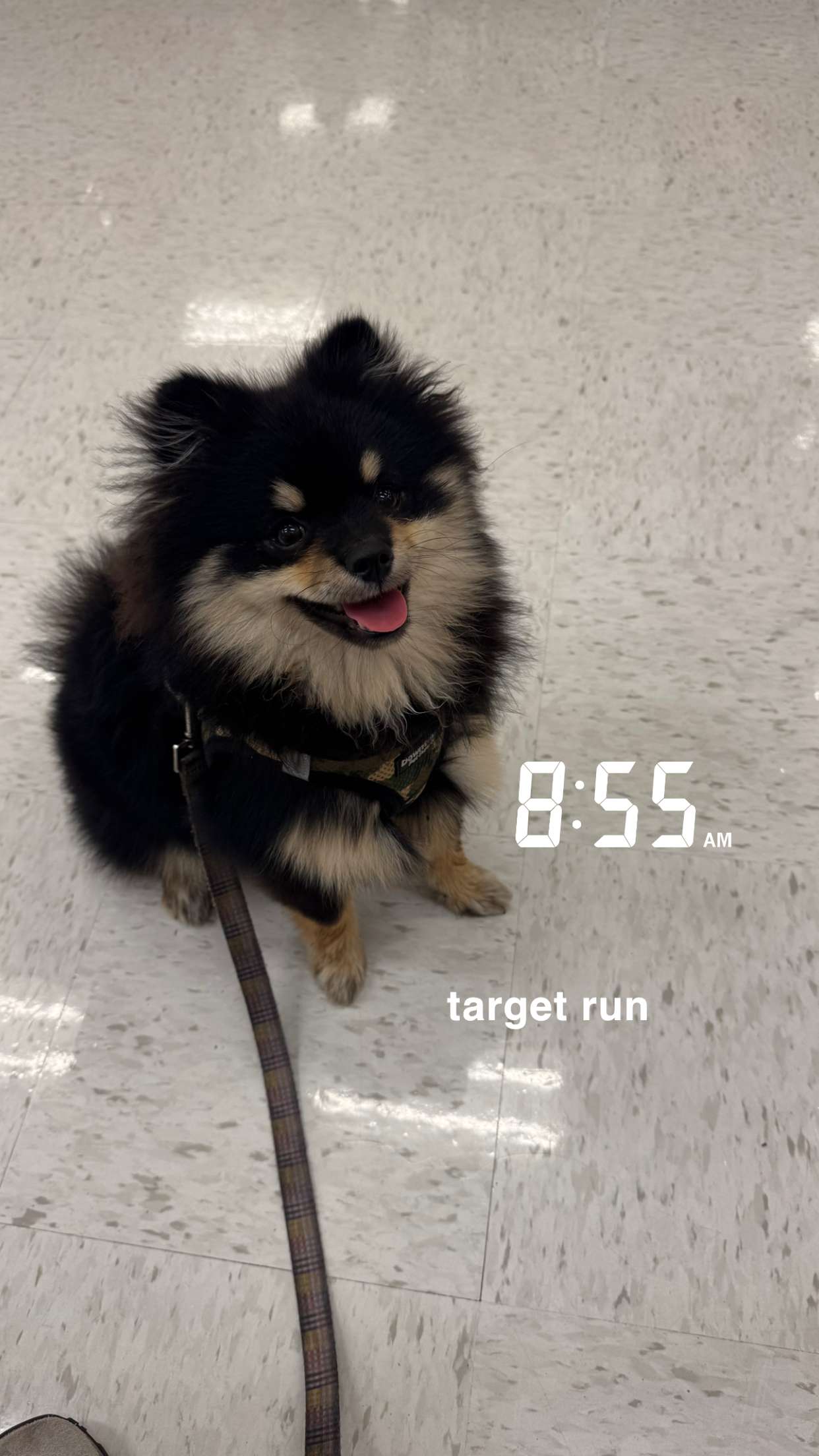 kaygcarlson snapchat image archive image