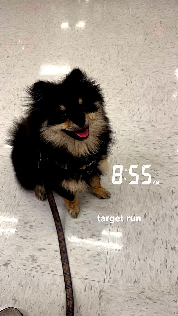 kaygcarlson image ~ Altpins