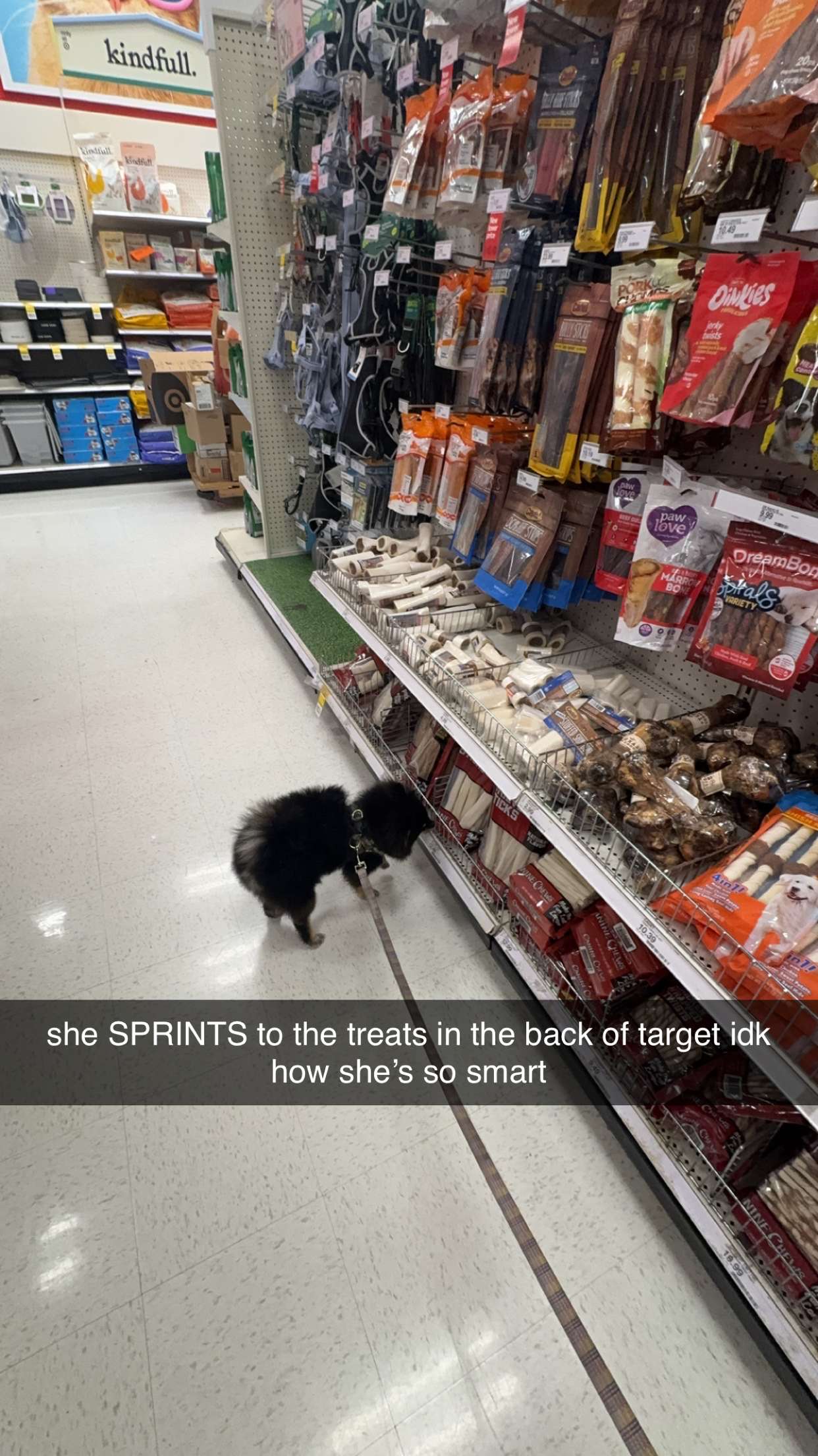 kaygcarlson snapchat image archive image