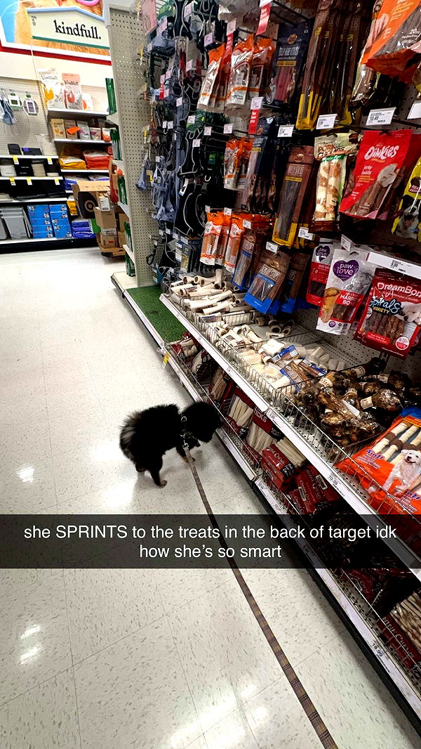 kaygcarlson image ~ Altpins