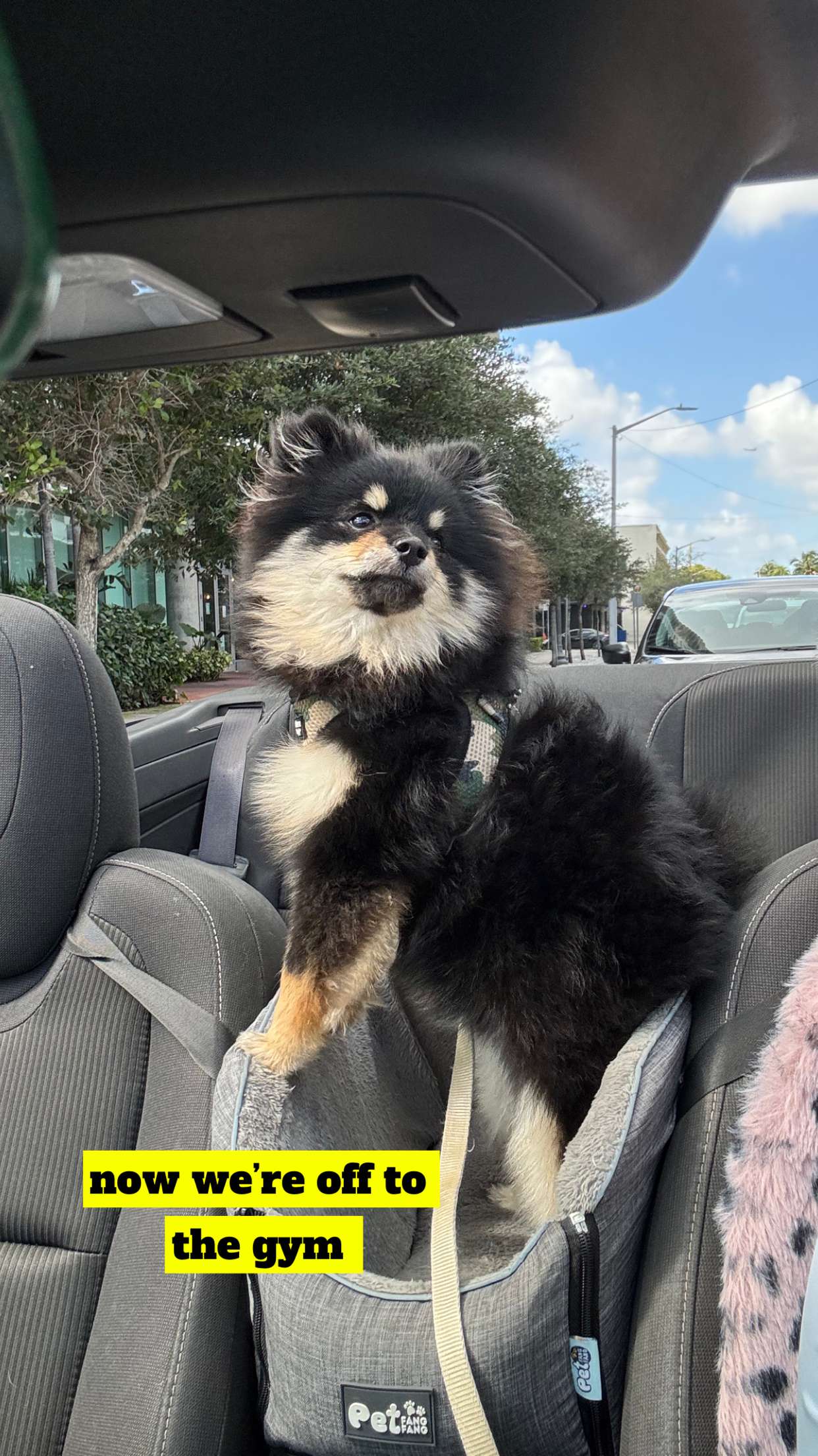 kaygcarlson snapchat image archive image