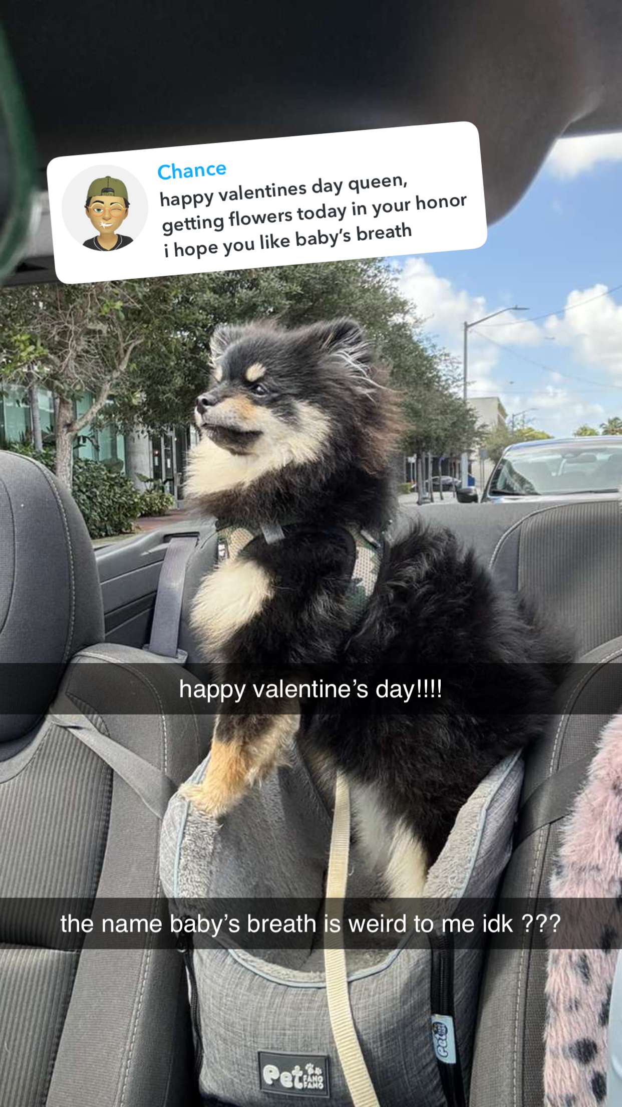 kaygcarlson snapchat image archive image