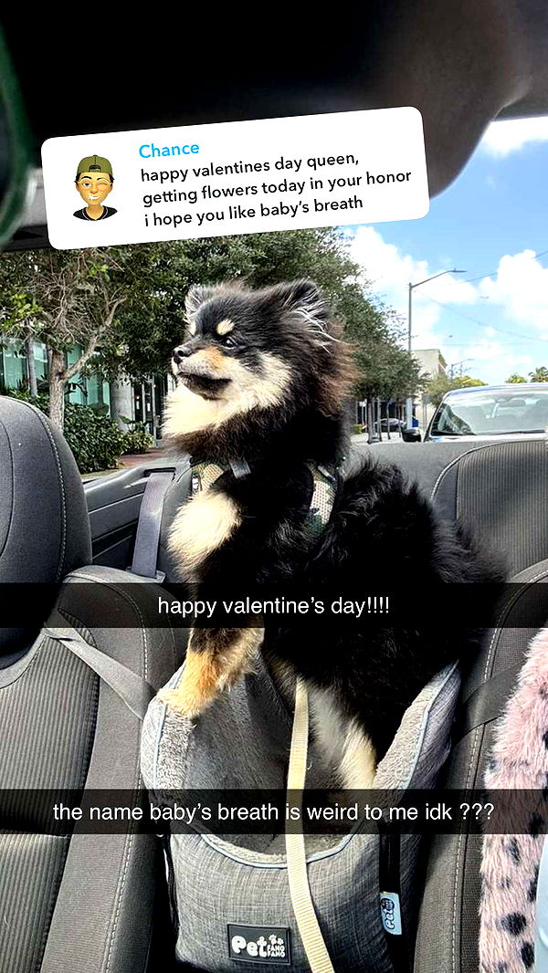 kaygcarlson image ~ Altpins