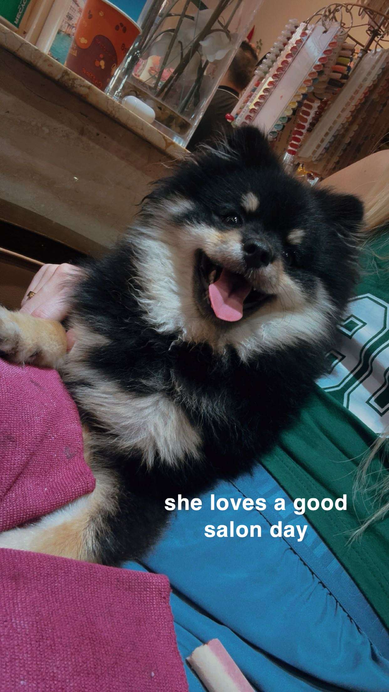 kaygcarlson snapchat image archive image